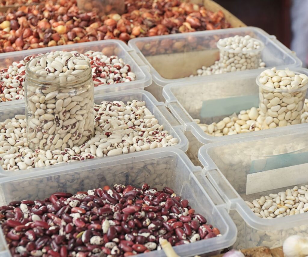 variety of dried beans sorted in plastic tubs